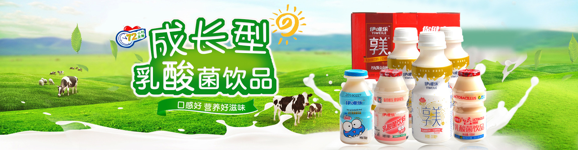 什么是乳酸菌饮料？